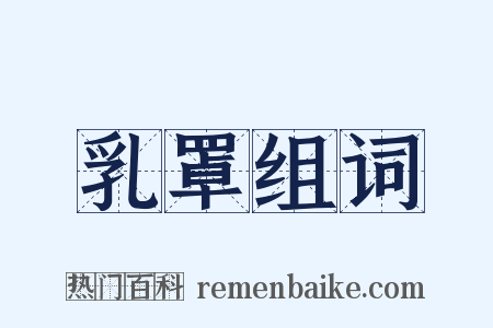 乳罩组词是什么意思的图片